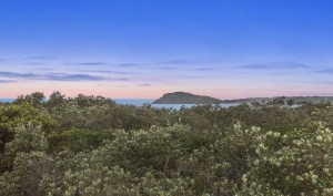 Cabarita Headland