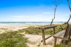 Casuarina beach chair