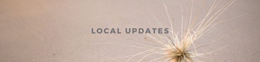 Local Updates banner